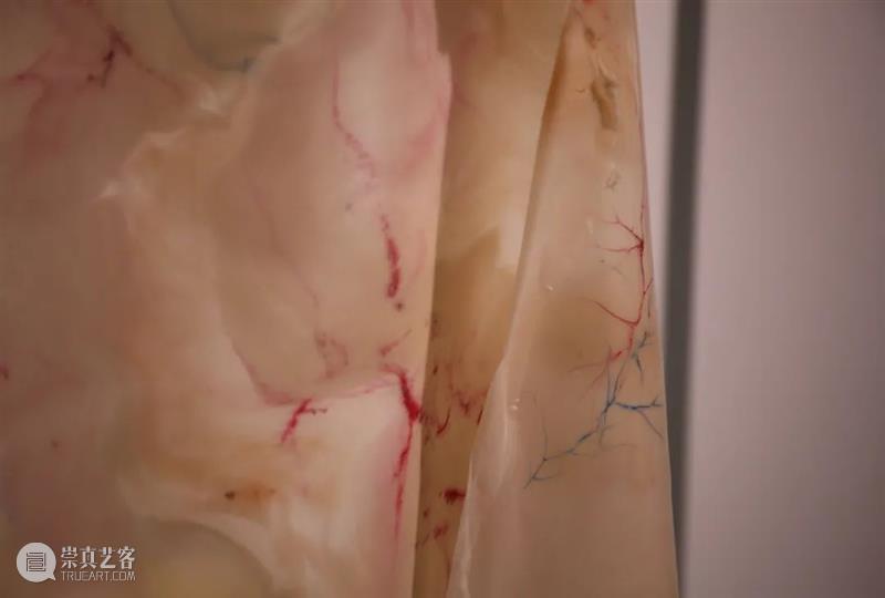 展览回顾 | 回响 ECHO 视频资讯 张嘉宁 ECHO 策展人 Curator 陆佳 Jia 艺术家 Artists 何艺雯 严许雨 张嘉宁 崇真艺客
